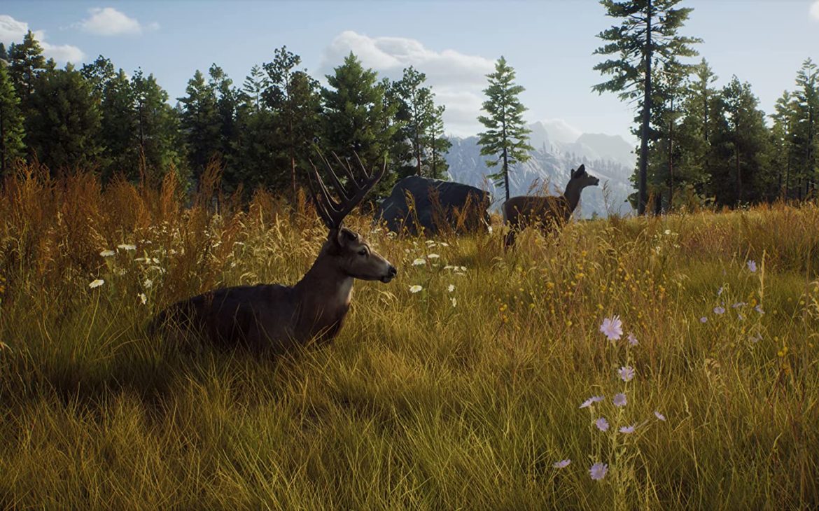 new hunting game for ps5