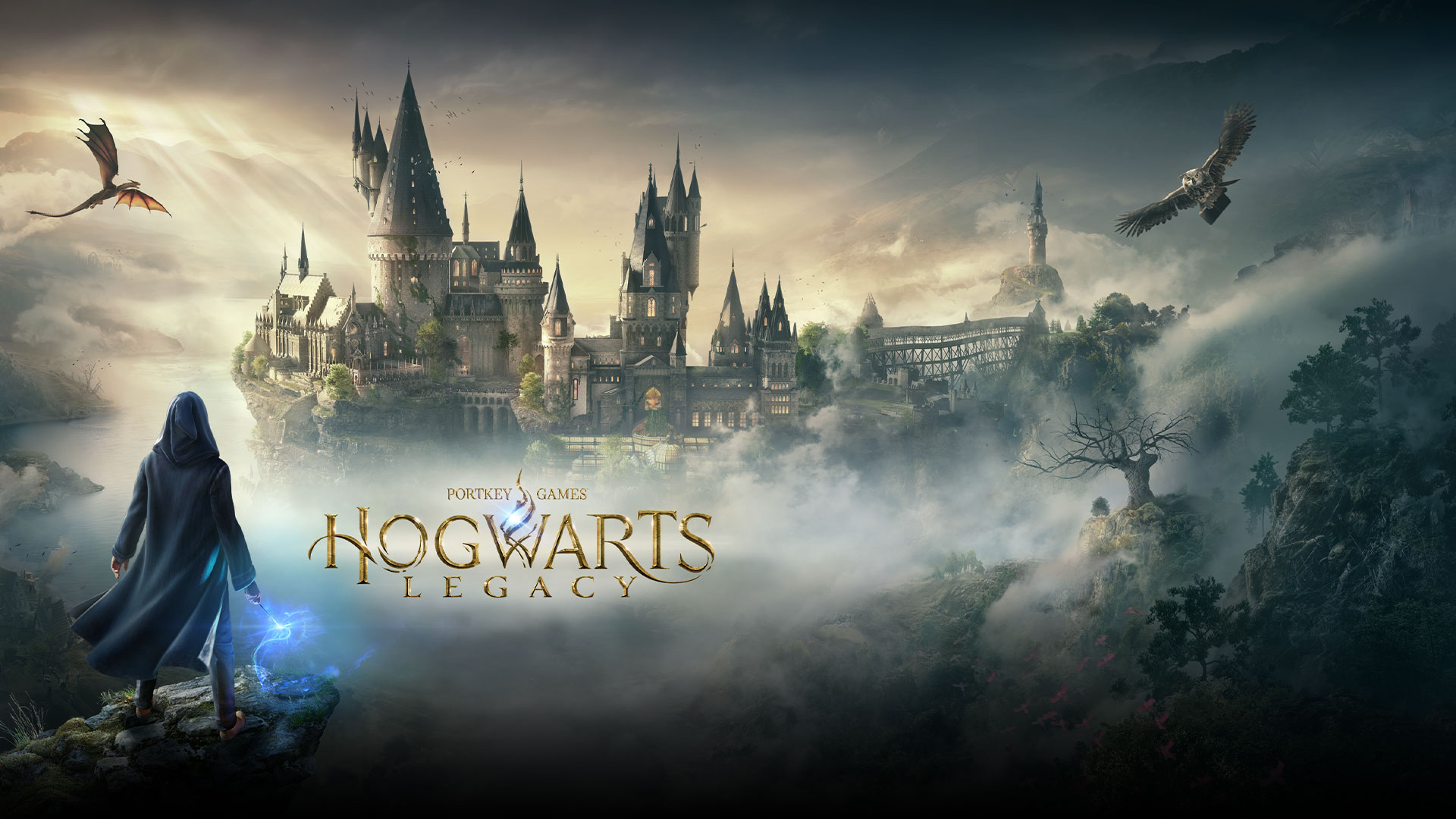 Hogwarts Legacy on X: Every student can truly find their home at